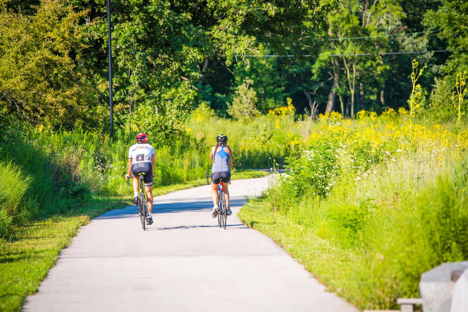 Di dời và Phục hồi Todd's Creek