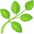 🌿