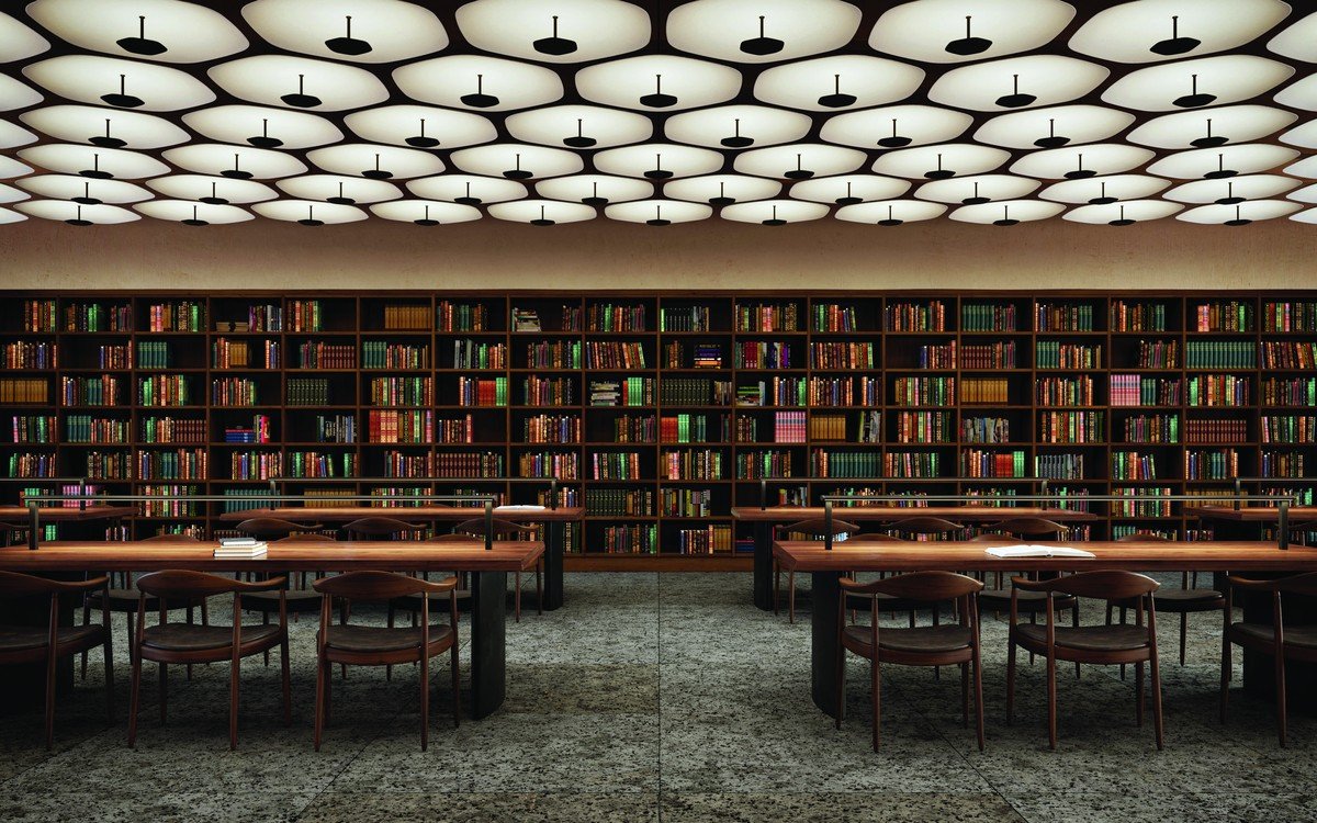 Chiếu sáng Polina