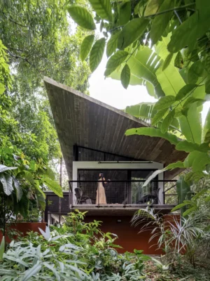 Casa Cajuí, Manaus, tài sản của Amazonas