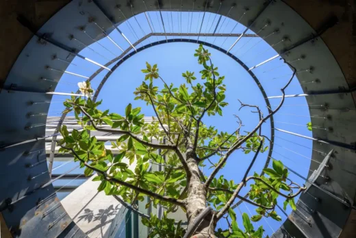 Khởi hành đi xây dựng thành phố Colegiales Buenos Aires