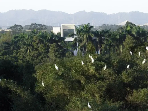 Bảo tàng đất ngập nước Thuận Đức Vân Lộ Quảng Đông