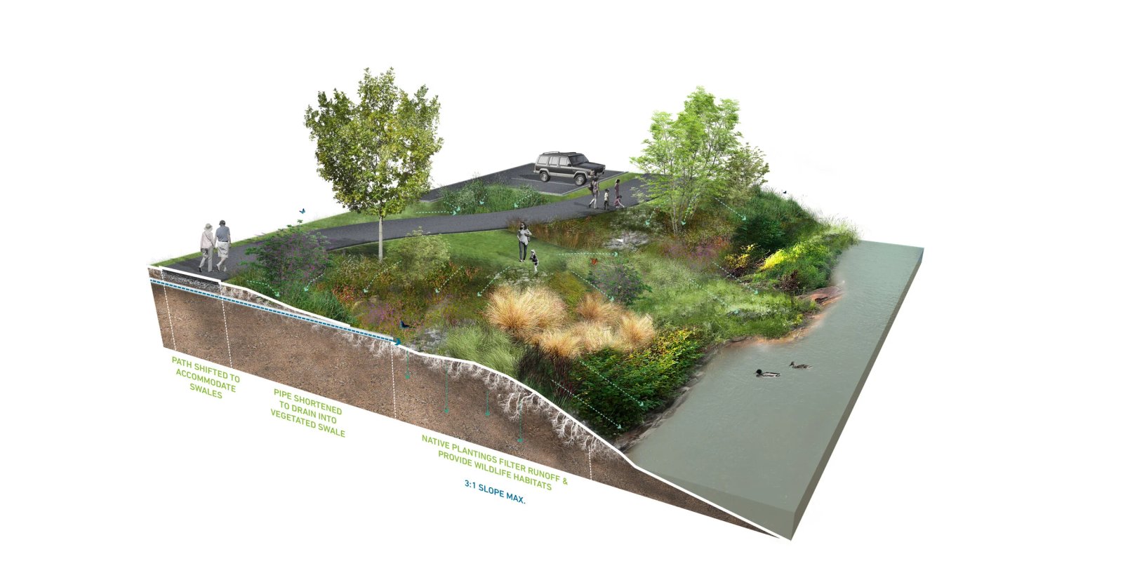 Ổn định dòng chảy & Hành lang ven sông - Biện pháp can thiệp điển hình: Swale thực vật