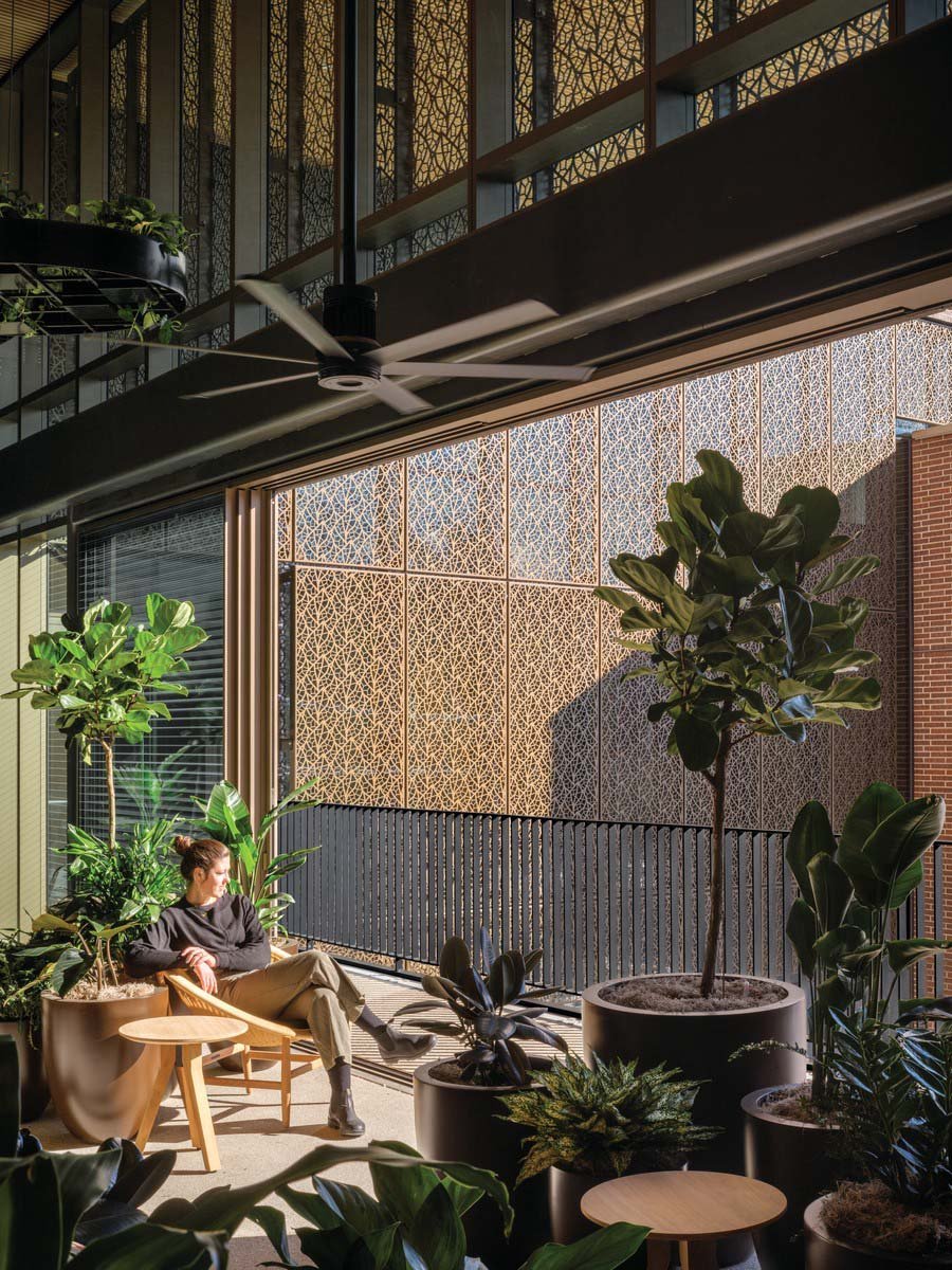 Trung tâm Y tế Frist