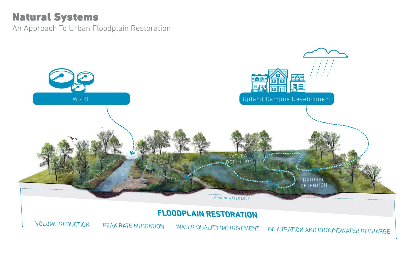 Hệ thống tự nhiên.jpg