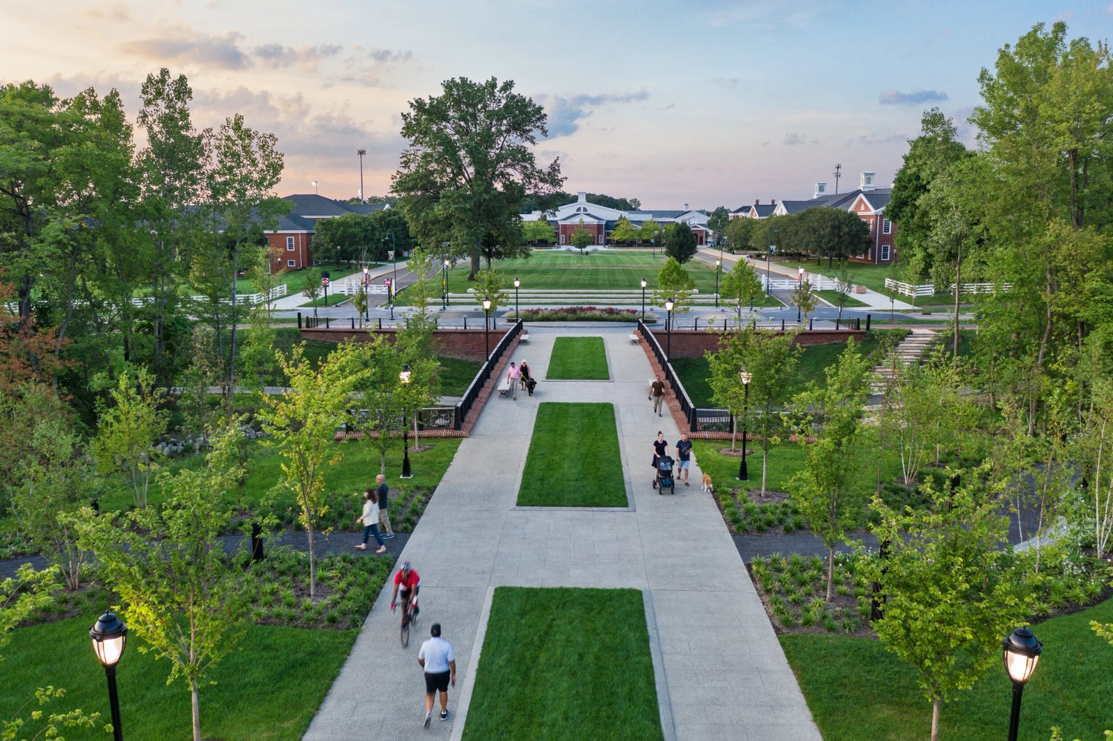 Hoa Hồng Chạy 08.jpg