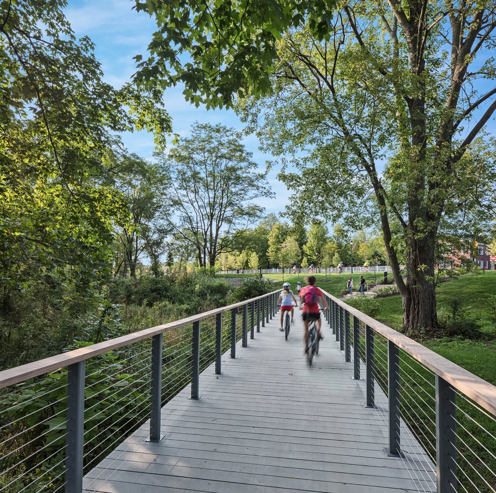 Hoa Hồng Chạy 14.jpg