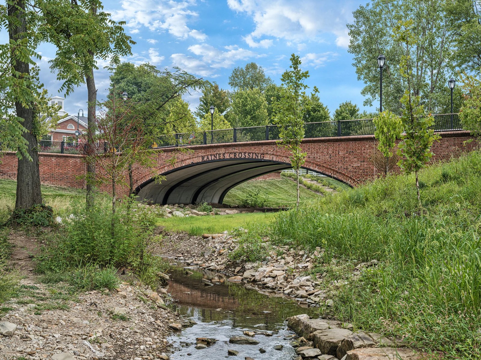 Hoa Hồng Chạy 15.jpg