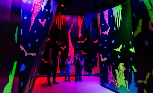 Khu bảo tồn động vật hoang dã Curiosity Cove Mandai SEA