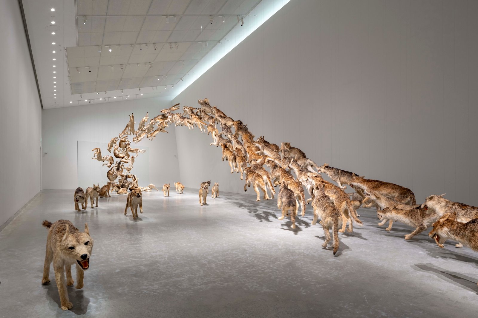 Bảo tàng nghệ thuật mới Naoshima