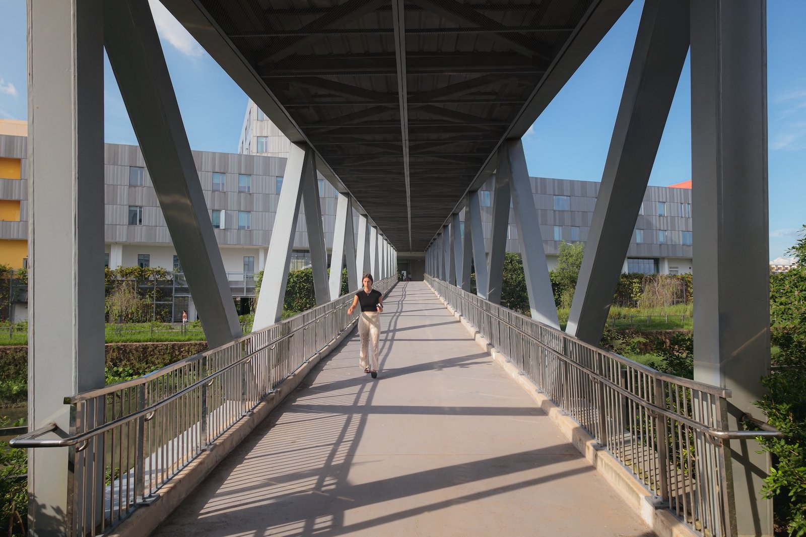 Đại học Việt Đức