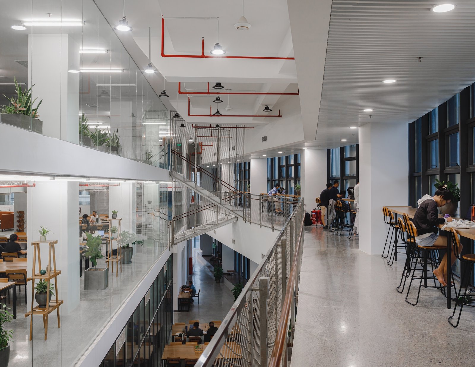 Đại học Việt Đức