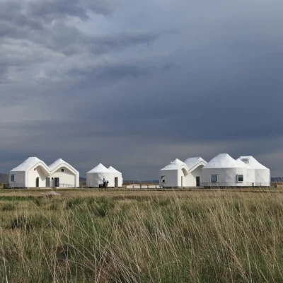 Kiến trúc sống động giữa chủ nghĩa duy tâm và hiện thực Aedes Triển lãm Berlin