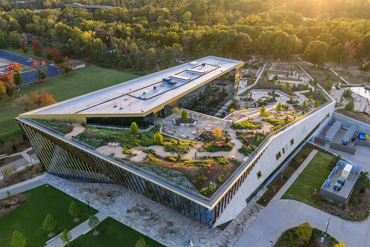 Trường Y khoa Alice L. Walton