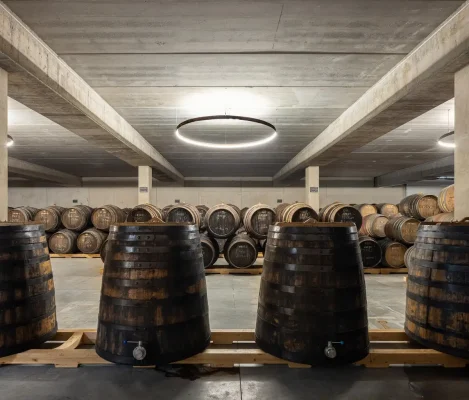 Hầm rượu vang Borges Sabrosa miền bắc Bồ Đào Nha