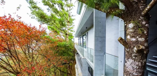 Hidden Mountain Dwelling Ngôi nhà nông thôn Đài Loan