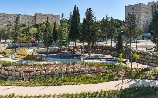 Công viên Rupin Quận Jerusalem Israel thiết kế cảnh quan