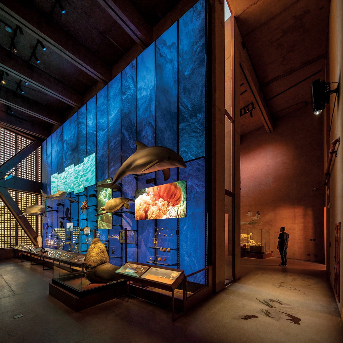 Bảo tàng khu vực Atacama Bảo tàng khu vực Atacama