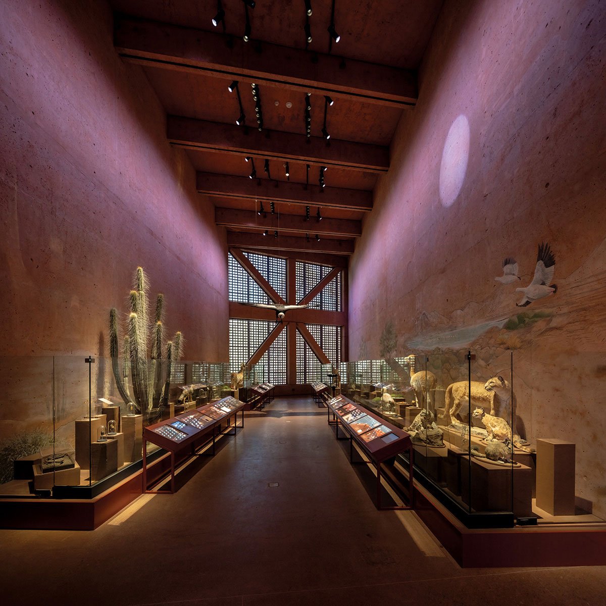 Bảo tàng khu vực Atacama Bảo tàng khu vực Atacama