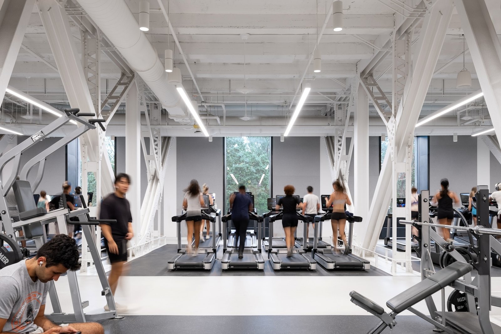 Phòng tập Dillon, Princeton