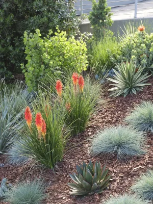 Khu dân cư Bay Heirloom San Francisco Bay California