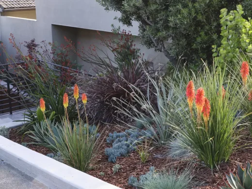 Khu dân cư Bay Heirloom San Francisco Bay California