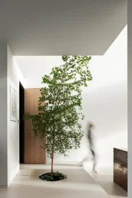 Light House Amsterdam, Centrumeiland sở hữu cây nội thất