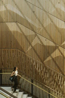 Thiết kế kiến trúc thay thế ngôi nhà mới Bang Washington