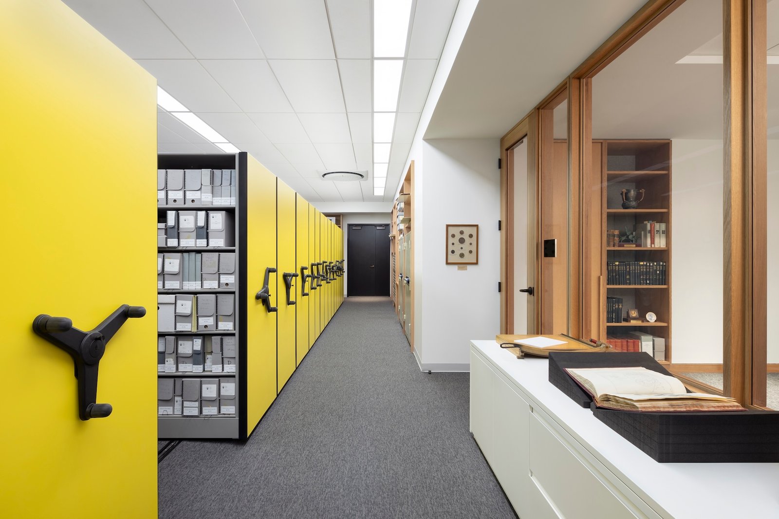 Lưu trữ y tế TJU.