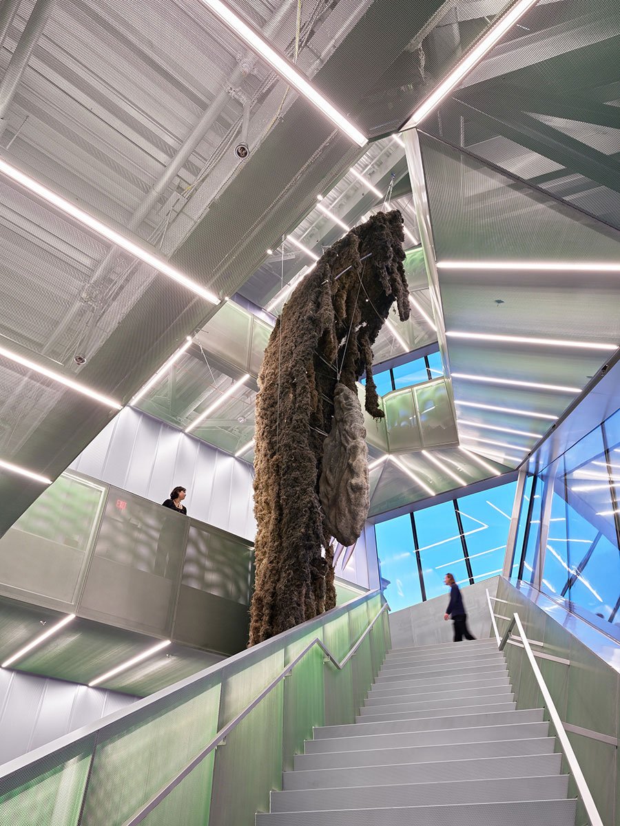 Mở rộng bảo tàng mới