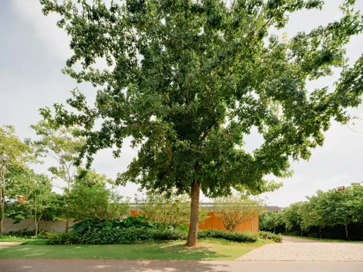 Cây Casa Escultura Sao Paulo Brazil