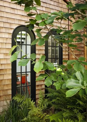 Khu dân cư Cow Hollow San Francisco California Hoa Kỳ