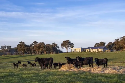 Trang trại Nhím Victoria Úc