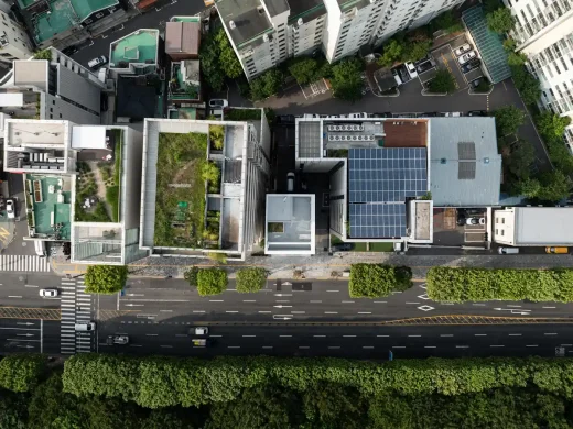 Phòng khám cấy tóc Seongsu Triangle Seoul