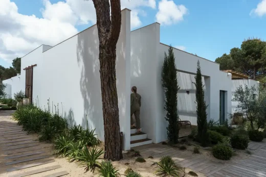 Comporta home Alentejo coast pine tree