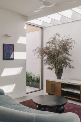 Moncur House Woollahra Sydney NSW plant