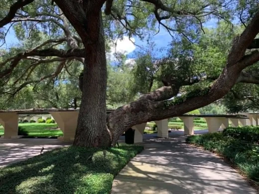 Esplanades Southern College Florida Lakeland trees