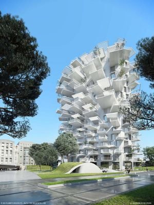 Arbre Blanc Pháp 1