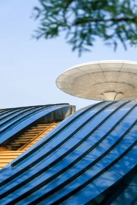 Cổng cá voi Hà Nam Trung Quốc