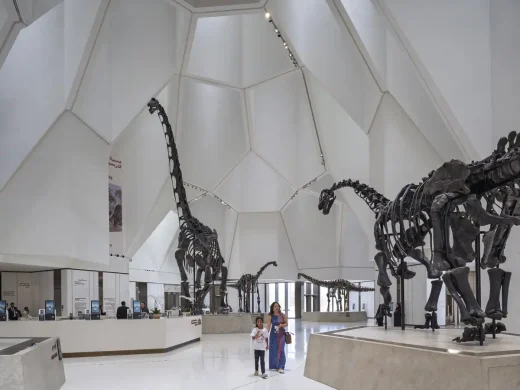 Natural History Museum Abu Dhabi UAE