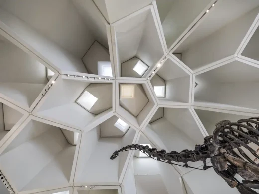 Natural History Museum Abu Dhabi UAE