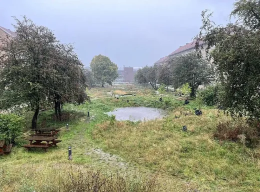 Công viên khí hậu mới Copenhagen