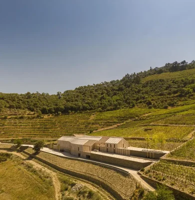 Nhà máy rượu vang Quinta de Adorigo Tabuaço Bồ Đào Nha