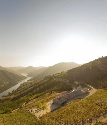 Nhà máy rượu vang Quinta de Adorigo Tabuaço Bồ Đào Nha