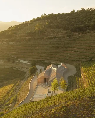 Nhà máy rượu vang Quinta de Adorigo Tabuaço miền bắc Bồ Đào Nha