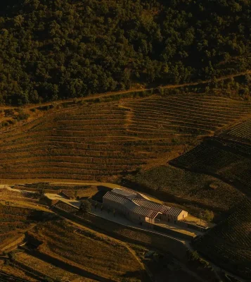 Nhà máy rượu vang Quinta de Adorigo Tabuaço miền bắc Bồ Đào Nha