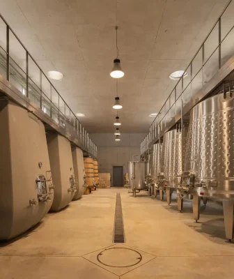 Nhà máy rượu vang Quinta de Adorigo Tabuaço Bồ Đào Nha