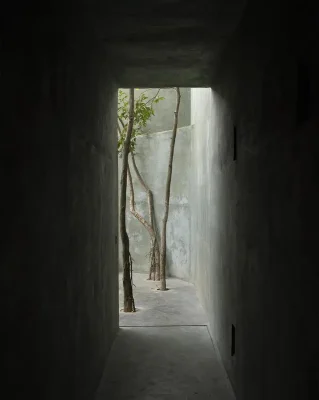 Hang động tàn bạo xanh Yucatán Mexico
