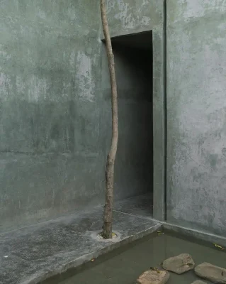Hang động tàn bạo xanh Yucatán Mexico