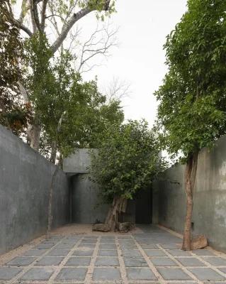 Hang động tàn bạo xanh Yucatán Mexico
